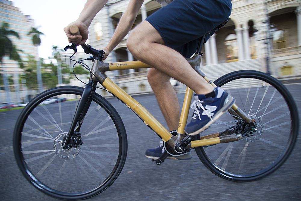 motion bamboo bike